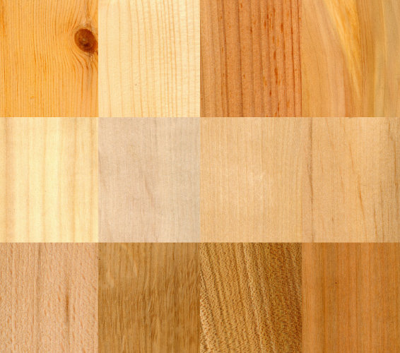 Holz. Abbildungen von verschiedenen Holzarten.