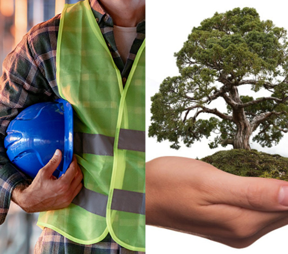 Arbeits- und Umweltschutz. Person mit Schutzkleidung und Baum in einer Hand.