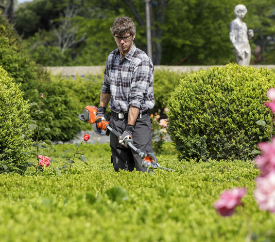 Garten- und Landschaftspflege. Person schneidet eine Hecke.