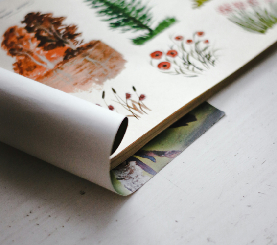 Pflanzenkunde. Buch mit botanischen Zeichnungen.