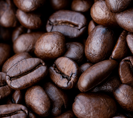 Kaffeewerkstatt. Kaffeebohnen.
