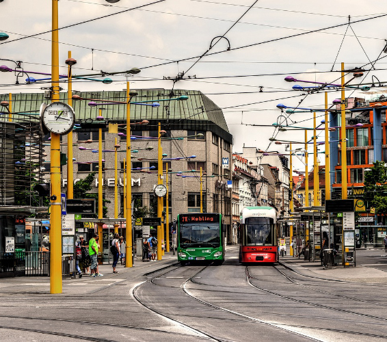 Selbst-Fahrtraining. Linienbus und Straßenbahn stehen an einer Haltestelle.