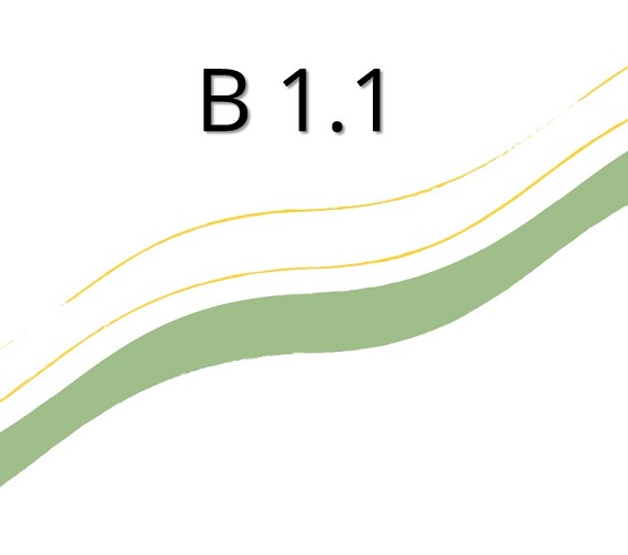 B1.1_