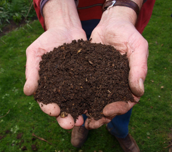 Offene Hände mit Kompost-Erde