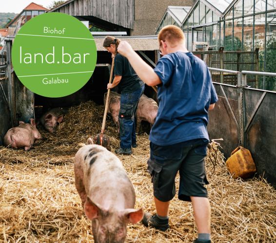 Biohof. landbar. Zwei Personen misten Schweinestall aus.