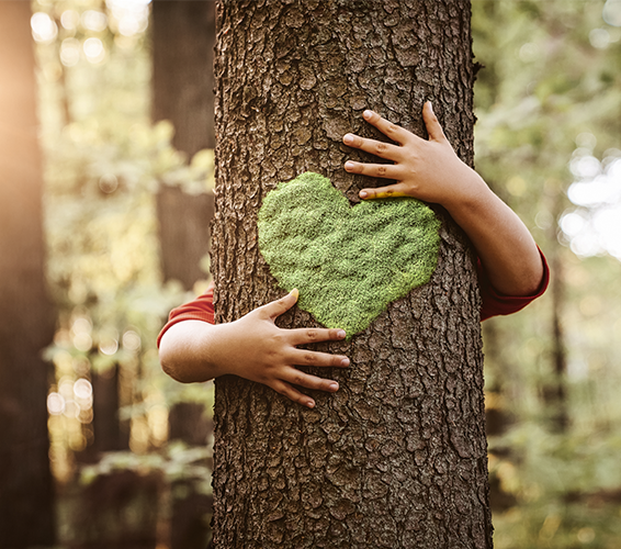 Ich und meine Umwelt. Ein Kind umarmt einen Baum auf dem ein grünes Herz zu sehen ist.