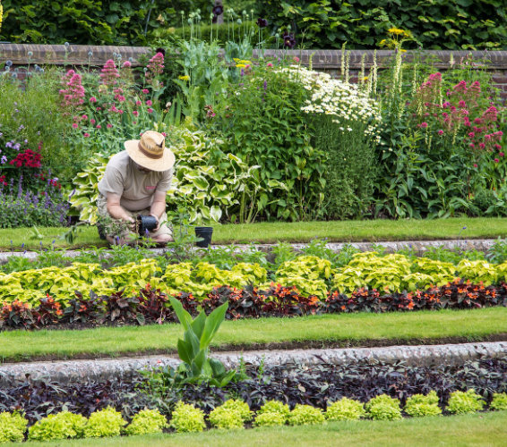 Grün-Werkstatt. Person pflanzt etwas in einem Garten.