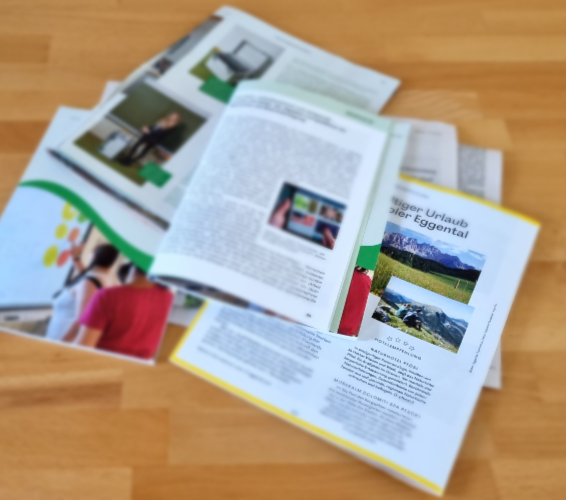 Rückblick: Artikeln und Berichte